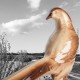 Le Grenier de la Mandoune. Faisan, oiseau en céramique émaillée, provenance Sainte Radegonde, Art Déco